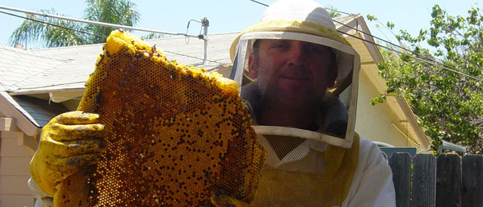 Winchester Bee Removal Guys Tech Michael