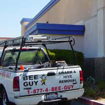 Sedco Hills Bee Removal Guys Service Truck
